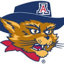 Wilber Wildcat